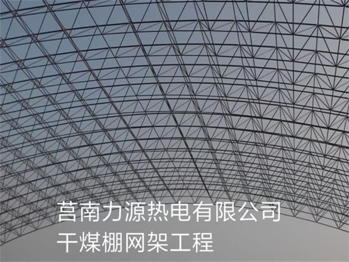 南阳力源热电有限公司干煤棚网架工程